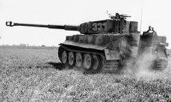 Featured image of post Panzer Ace