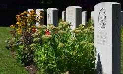 Featured image of post The Commonwealth War Graves Commission