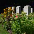 The Commonwealth War Graves Commission